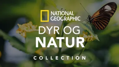 National Geographic Dyr og natur