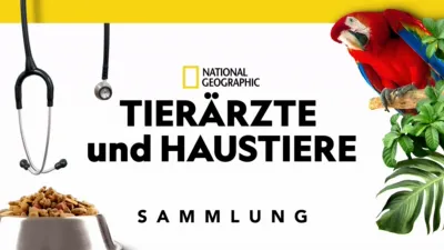 Tierärzte und Haustiere