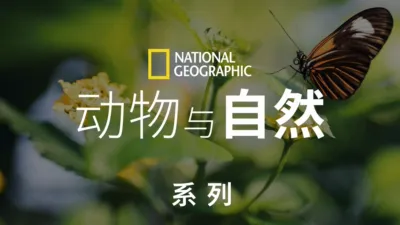 国家地理<br>动物与自然