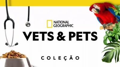 Veterinários e Pets