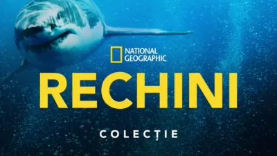 National Geographic  Rechini