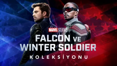 Falcon ve Winter Soldier