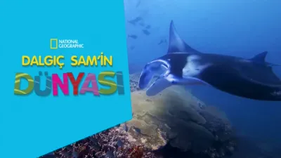 Dalgıç Sam'in Dünyası