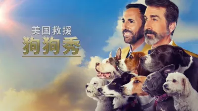 美国救援狗狗秀