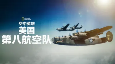 空中英雄: 美国第八航空队