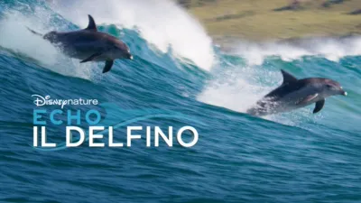 Echo, il delfino