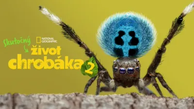 Skutočný život chrobáka