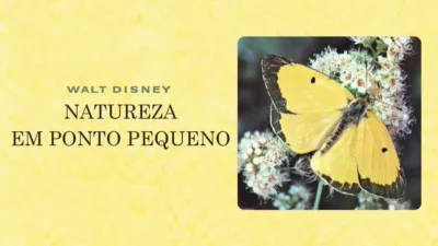 Natureza em Ponto Pequeno
