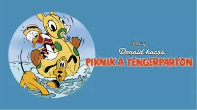 Piknik a tengerparton