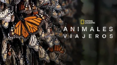 Incredible Animal Journeys