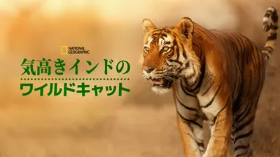 気高きインドのワイルドキャット