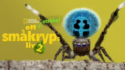 Ett verkligt småkryps liv