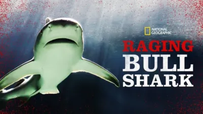 Raging Bullshark