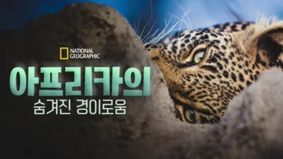 아프리카의 숨겨진 경이로움