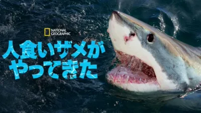 人食いザメがやってきた