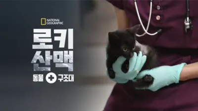 로키산맥 동물 구조대