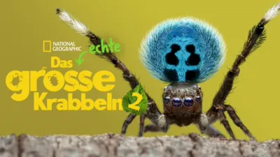 Das echte große Krabbeln