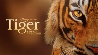 Tiger – Behind the scenes