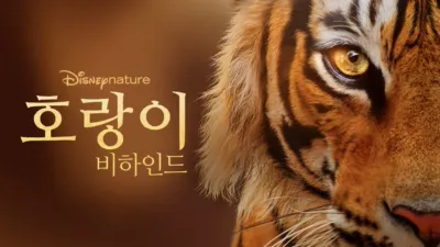 호랑이 비하인드