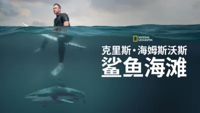 克里斯·海姆斯沃斯：鲨鱼海滩