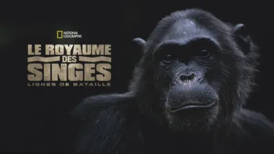 Le royaume des singes: Lignes de bataille