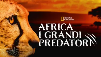 Gli animali più pericolosi: Africa