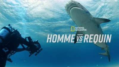 Homme VS requin