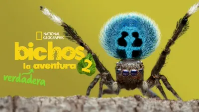 Bichos: La verdadera aventura