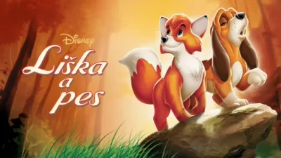 Liška a pes