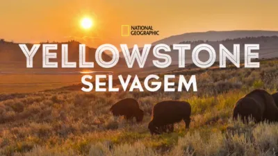 Yellowstone Selvagem