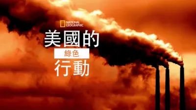 美國的綠色行動