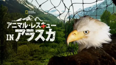 アニマル・レスキュー in アラスカ