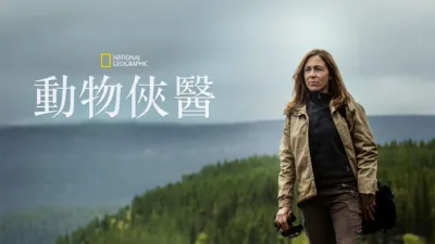 動物俠醫
