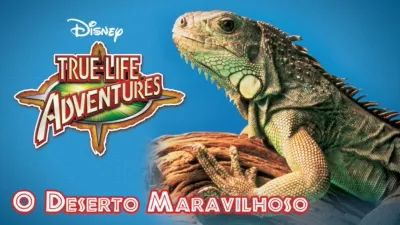 O Deserto Maravilhoso