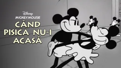 Când pisica nu-i acasă