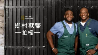 鄉村獸醫拍檔