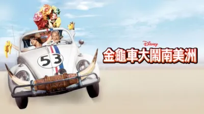 金龜車大鬧南美洲