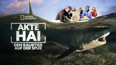 Akte Hai - Dem Raubtier auf der Spur