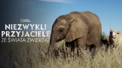 Niezwykli przyjaciele ze świata zwierząt