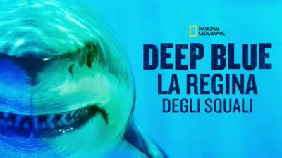 Deep Blue: la regina degli squali