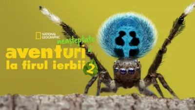 Aventuri neașteptate la firul ierbii