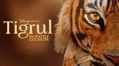 Tigrul: În spatele culiselor
