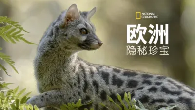 Europe's Hidden Wonders