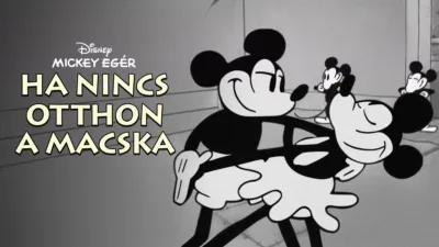 Ha nincs otthon a macska