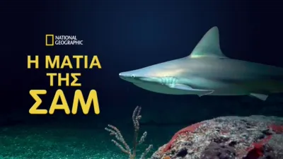 Η Ματιά της Σαμ