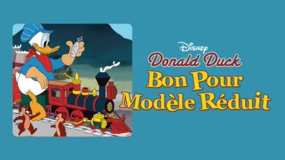 Bon pour modèle réduit