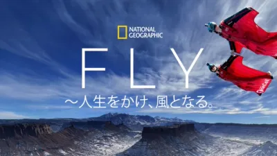 FLY