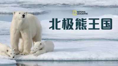 北极熊王国