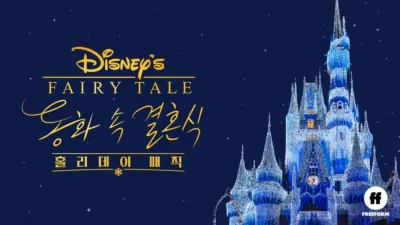 동화 속 결혼식: 홀리데이 매직