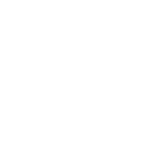 Magnolia Network Logo